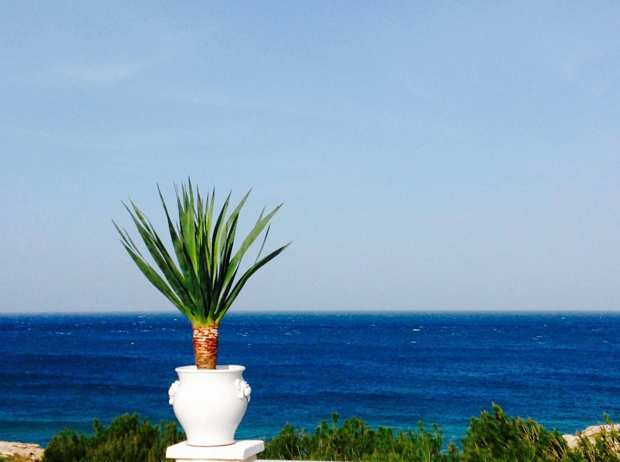 モノーポリ Playa Del Mar - Adults Only Bed & Breakfast エクステリア 写真